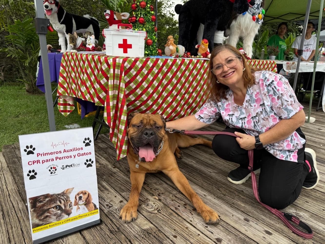 Christmas Dogs Parade