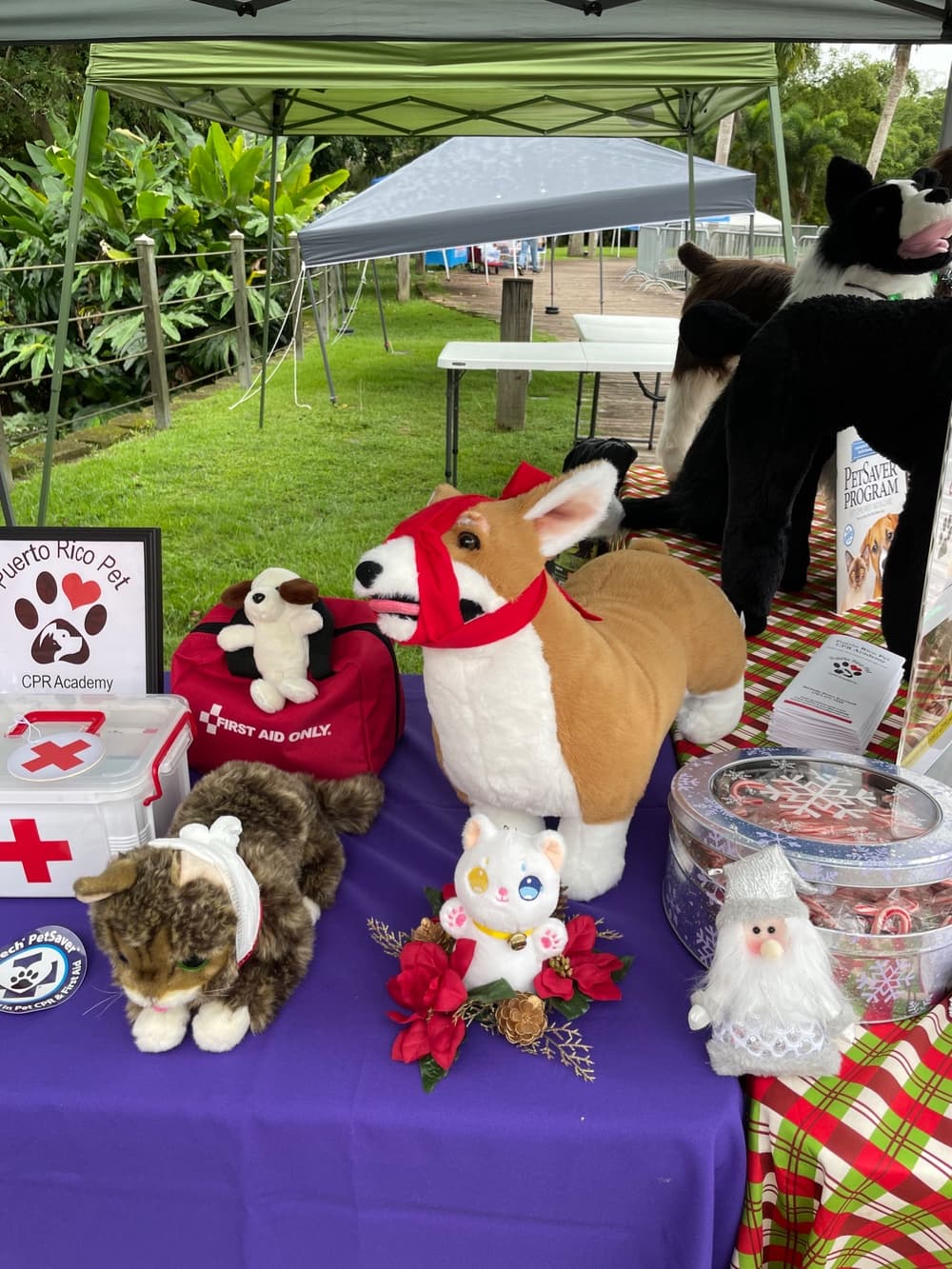 Christmas Dogs Parade 10