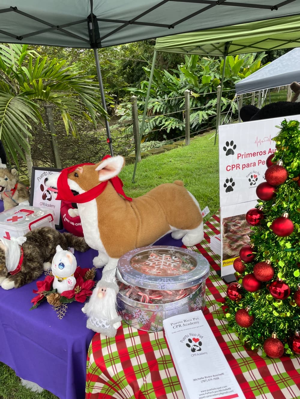 Christmas Dogs Parade 12