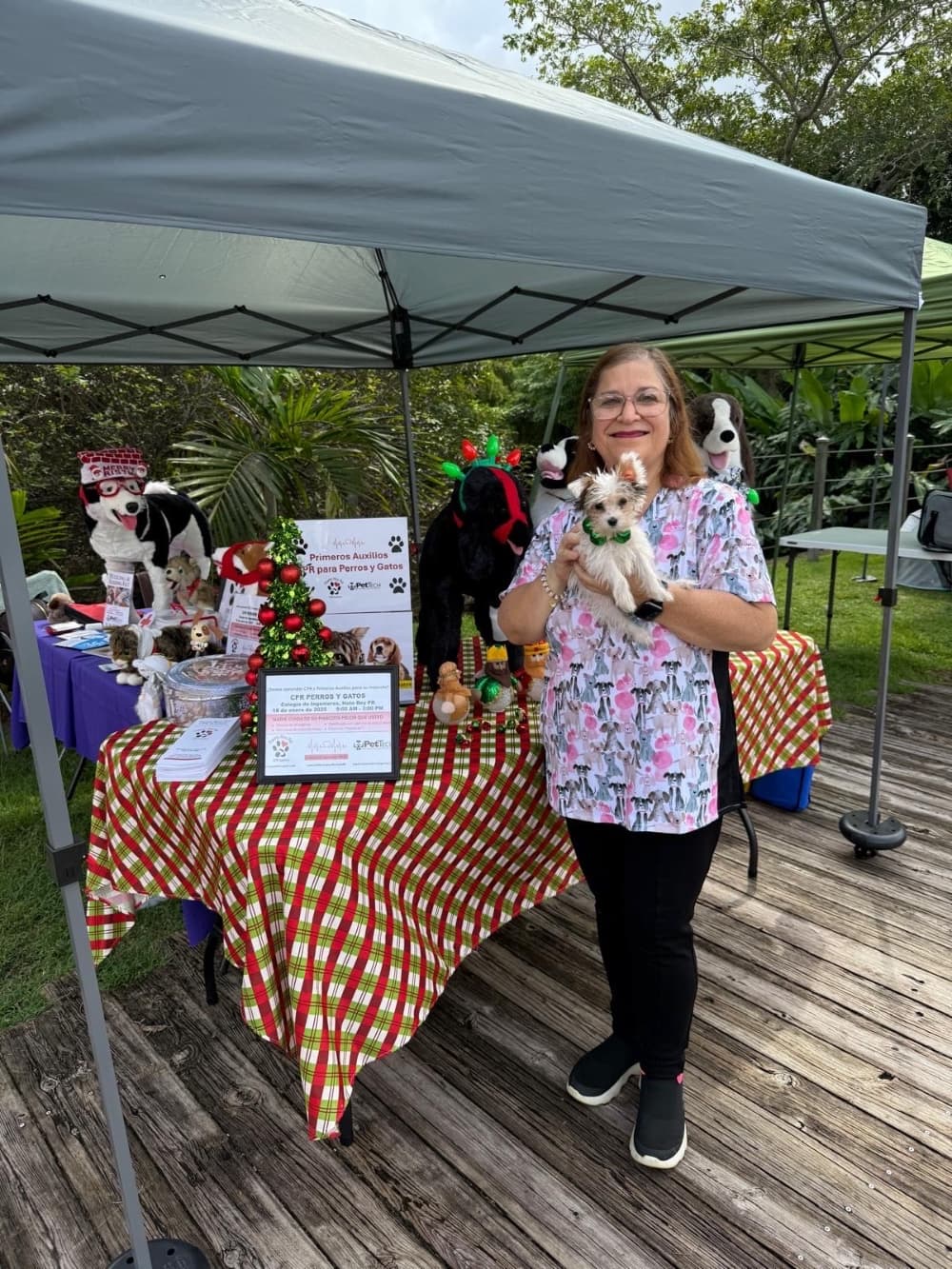 Christmas Dogs Parade 2