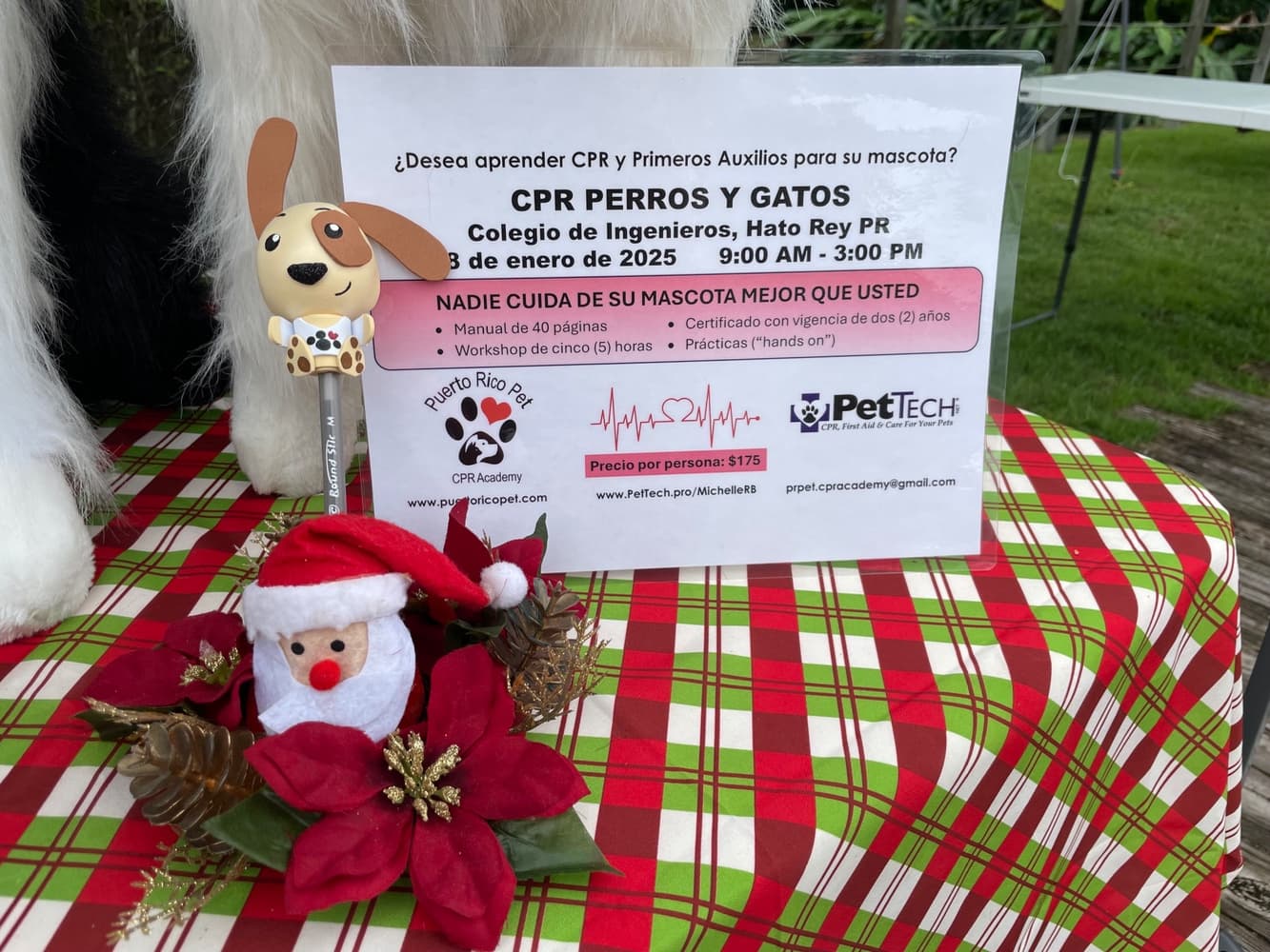 Christmas Dogs Parade 3