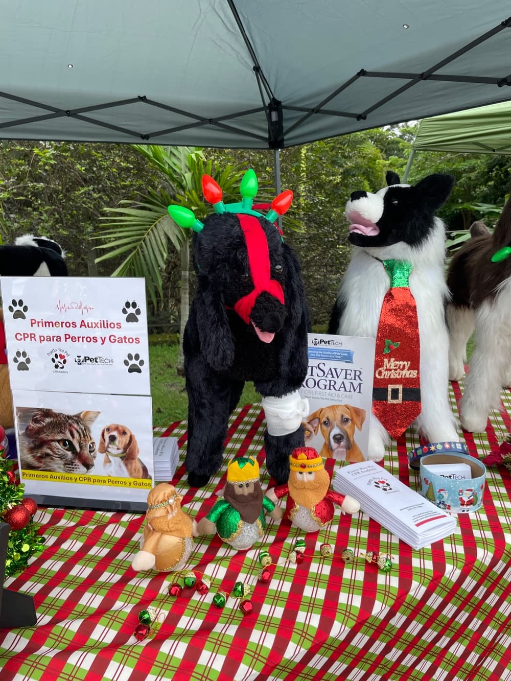 Christmas Dogs Parade 6