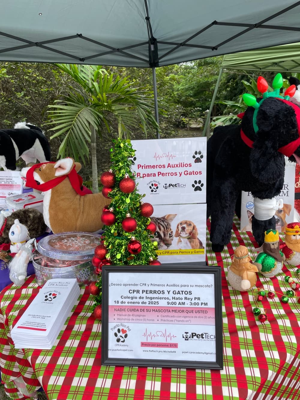 Christmas Dogs Parade 8