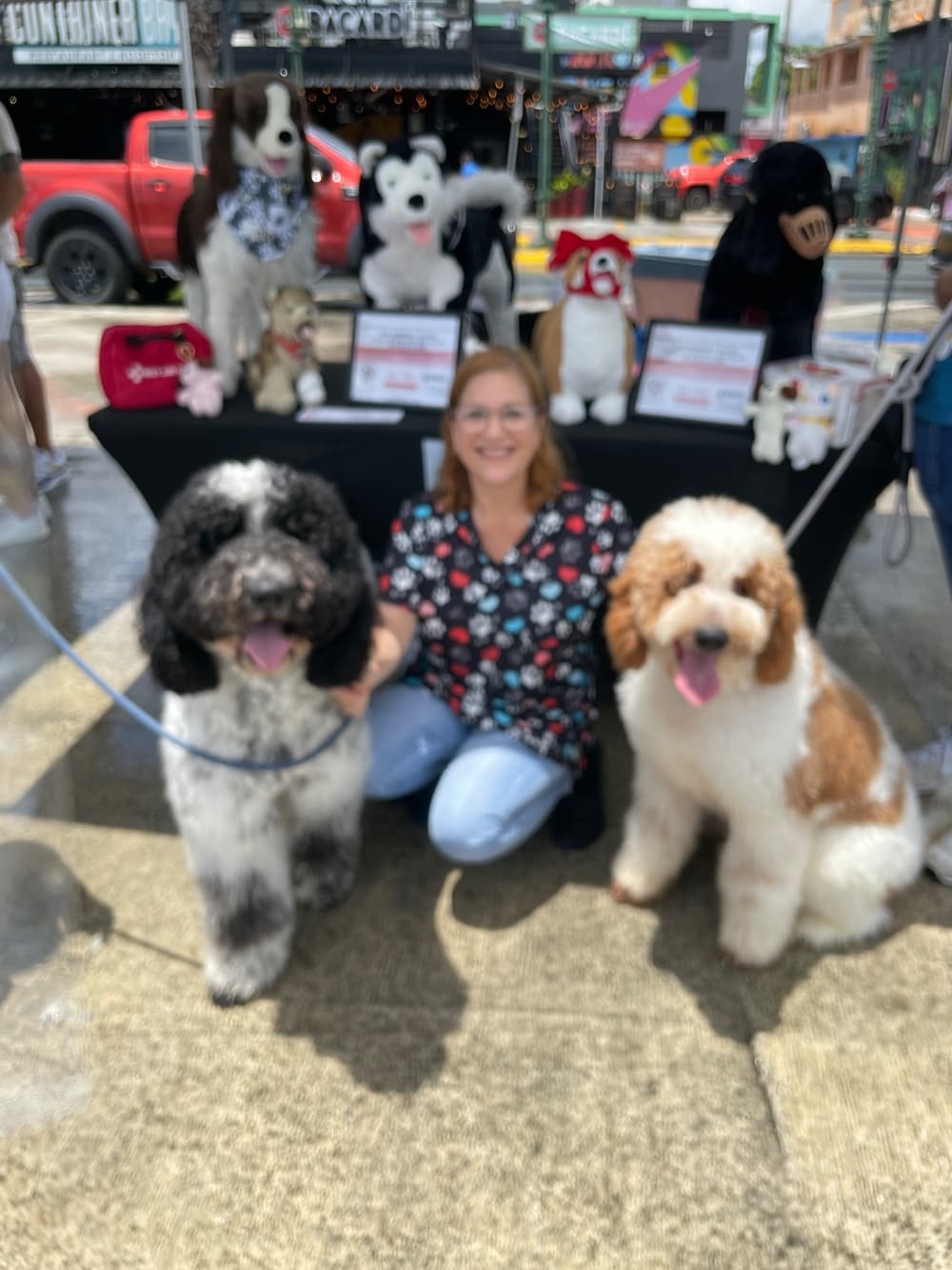 Mom & Dad Pets Day 6