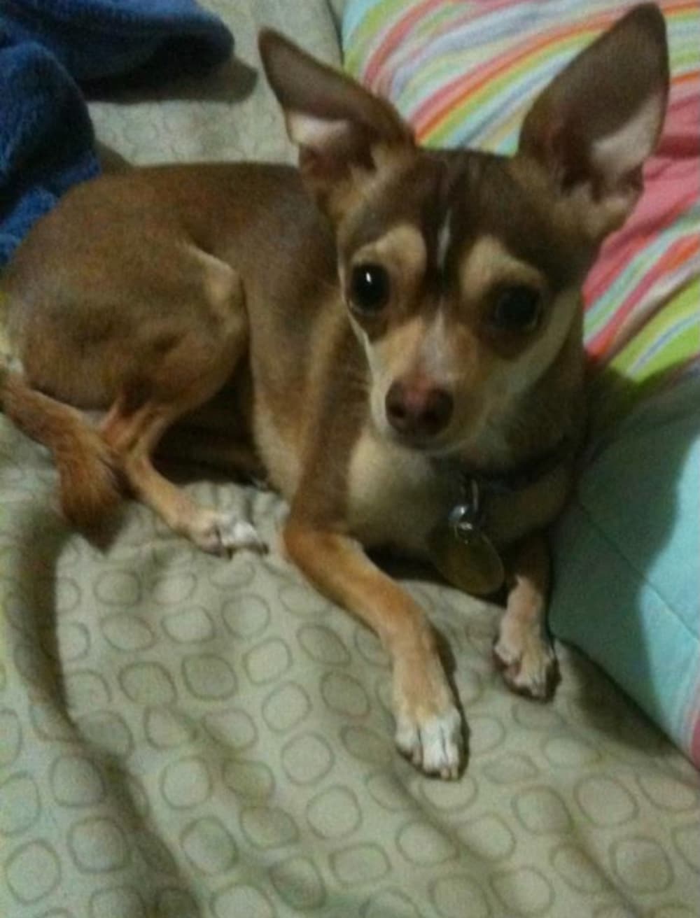 Max